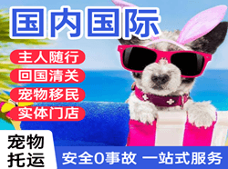 怀化芷江机场邮寄国际宠物托运 【国